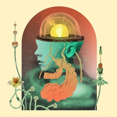 Salami Rose Joe Louis - Akousmatikous(LP)