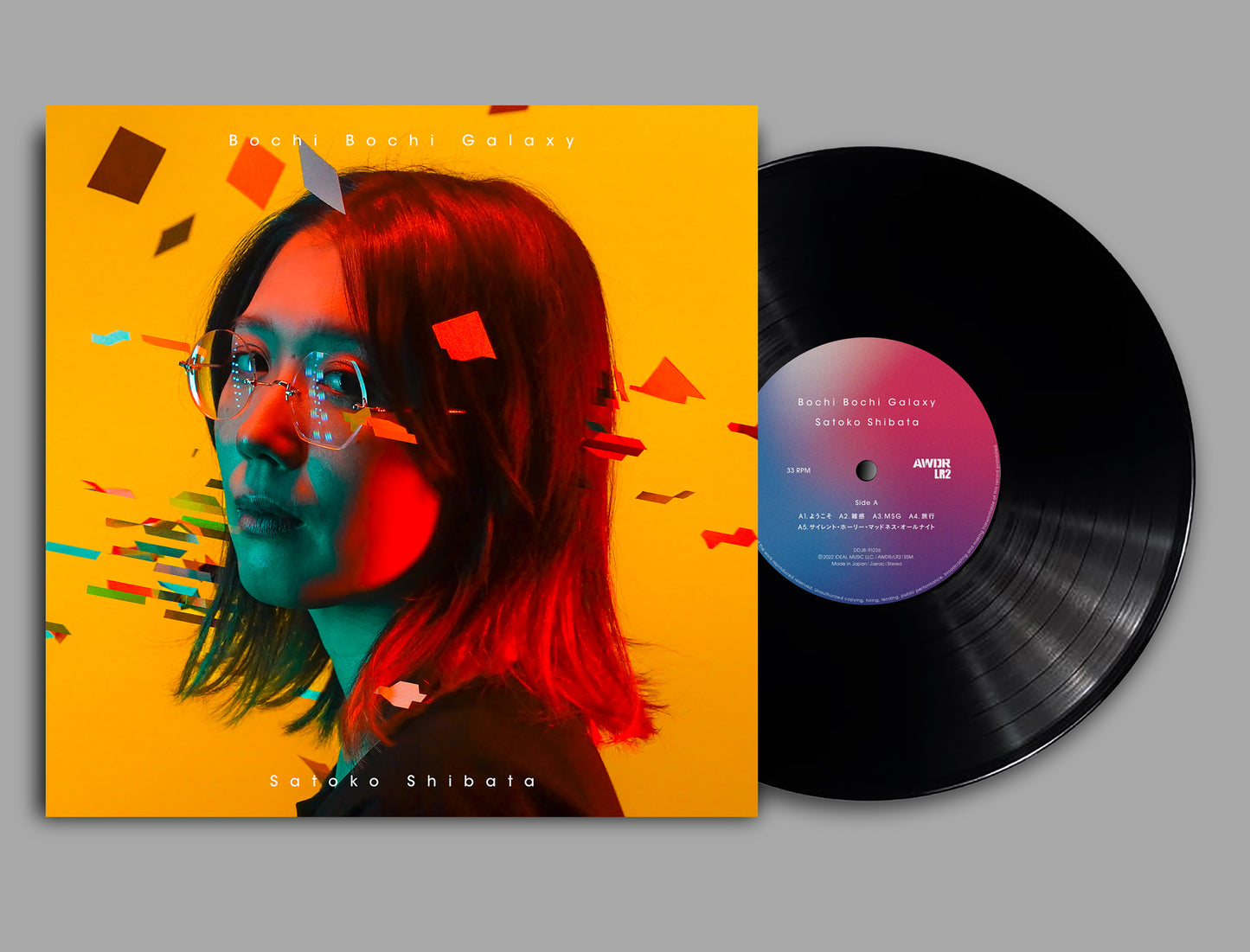 柴田聡子 - ぼちぼち銀河 (LP)