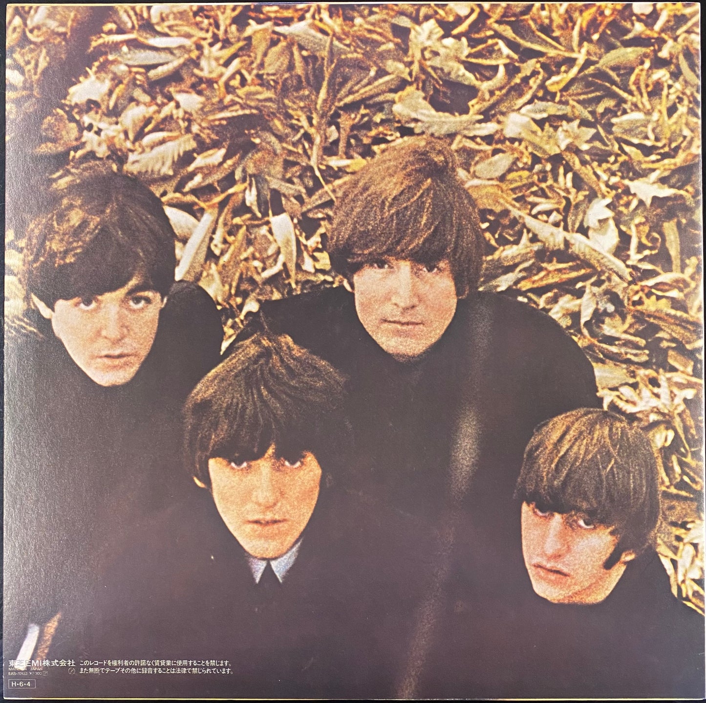 The Beatles