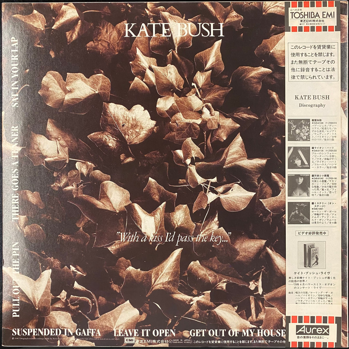 Kate Bush