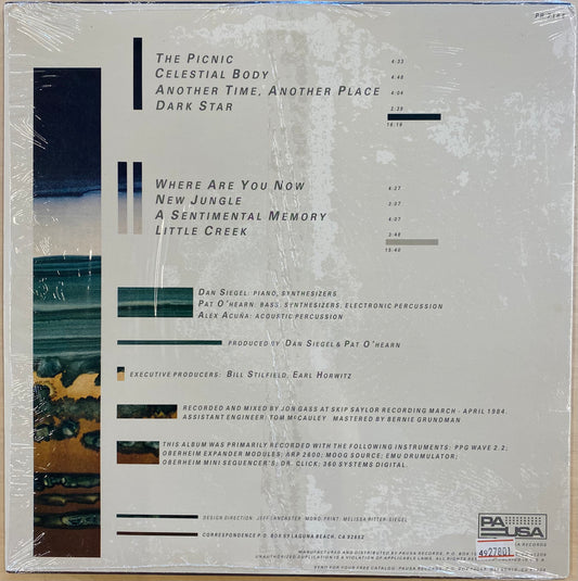 【USED】Dan Siegel Feat Patrick O'Hearn & Alex Acuña - Another Time, Another Place(LP)