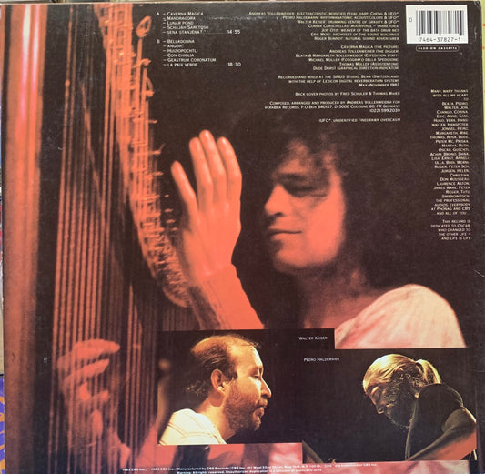 【USED, US ORIG】Andreas Vollenweider Caverna Magica (...Under The Tree - In The Cave...) (LP)