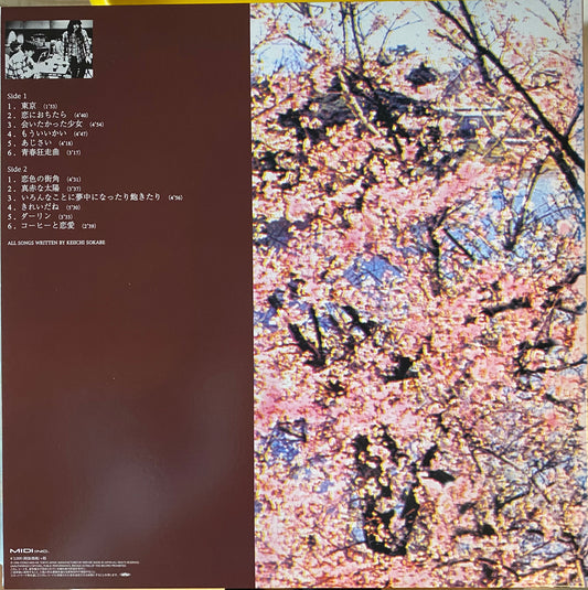 【USED】サニーデイ・サービス - 東京 (LP)