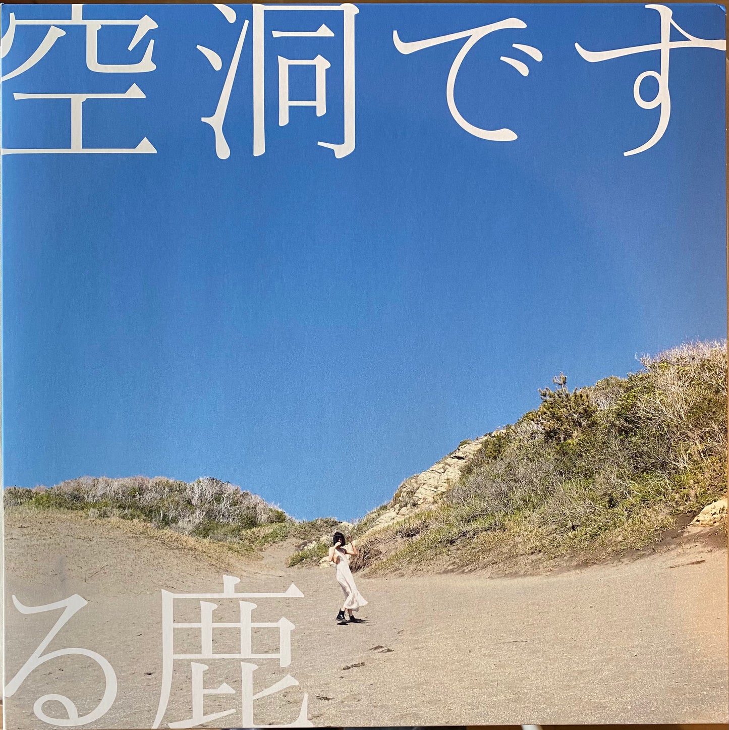 【USED】る鹿 - 空洞です (LP)