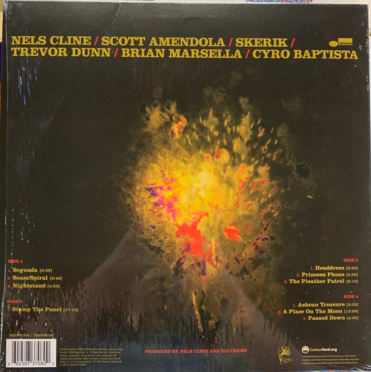 【USED】The Nels Cline Singers - Share The Wealth (LP)