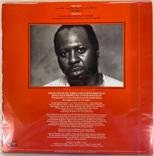 【USED】Curtis Mayfield - Something To Believe In (LP)