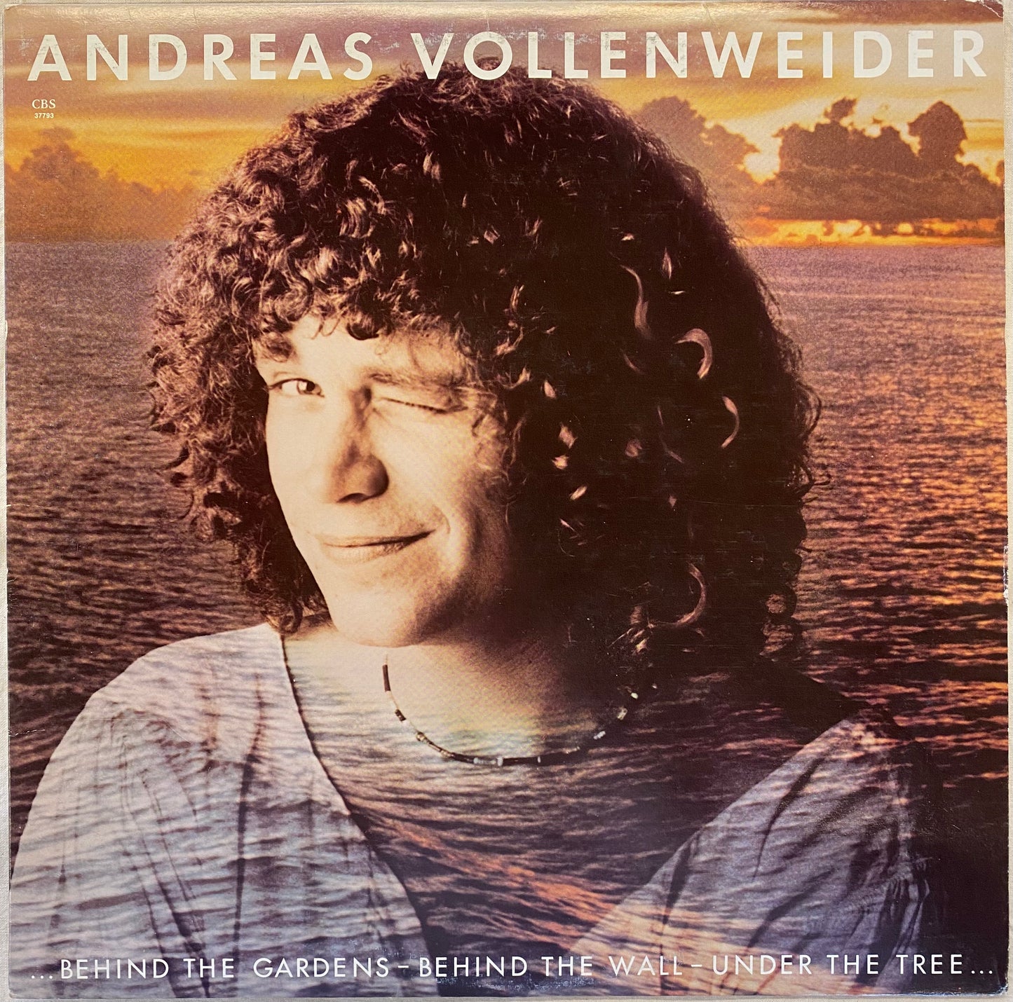 【USED】Andreas Vollenweider - ... Behind The Gardens - Behind The Wall - Under The Tree ...(LP)