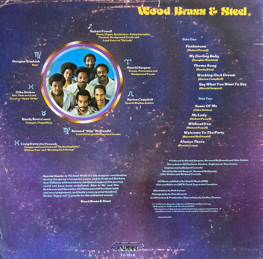 【USED】Wood, Brass & Steel - Wood, Brass & Steel (LP)