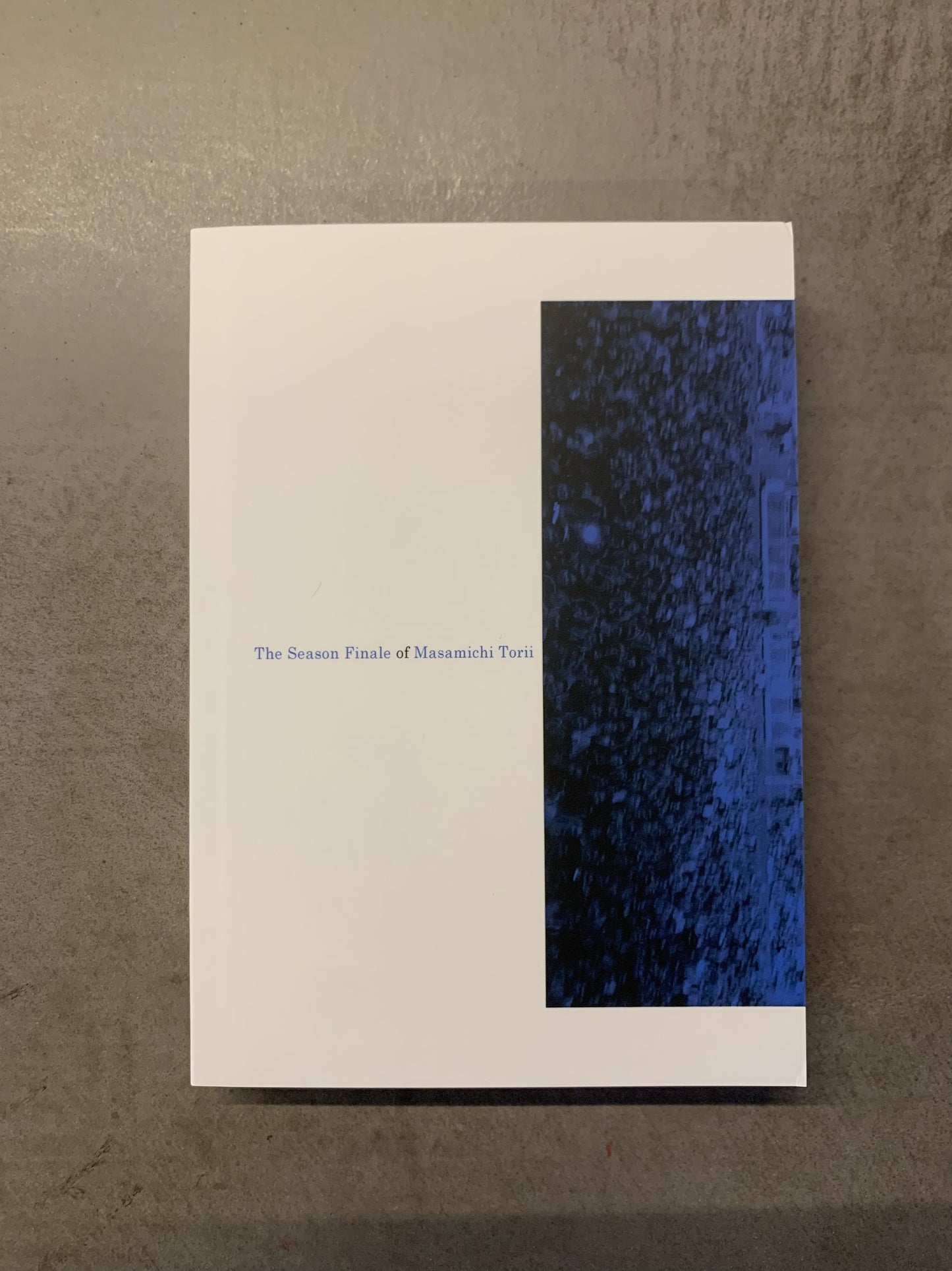 鳥居真道 - 鳥居の最終回 (BOOK)