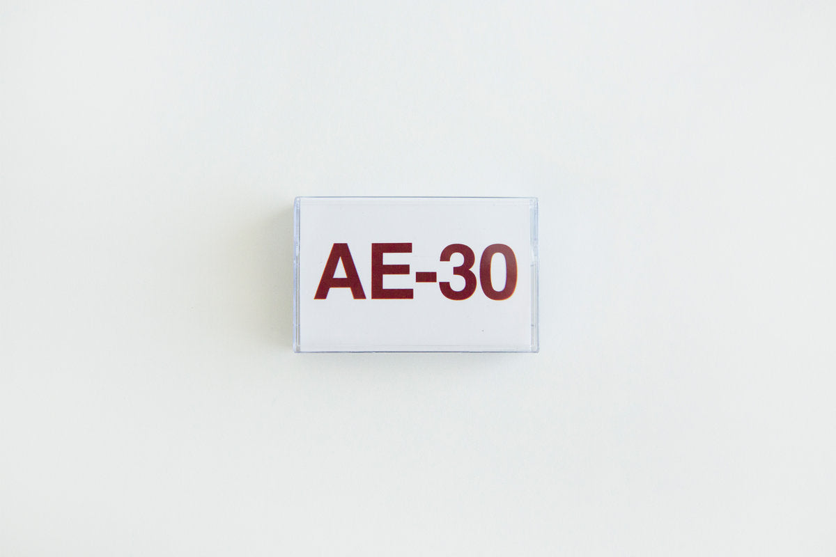 Sam Gendel - AE-30(Cassette)