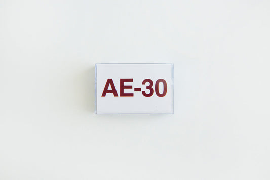 Sam Gendel - AE-30(Cassette)