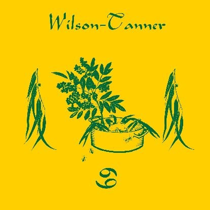 Wilson Tanner - 69(LP)