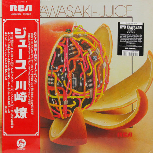 川崎燎 - Juice (LP)