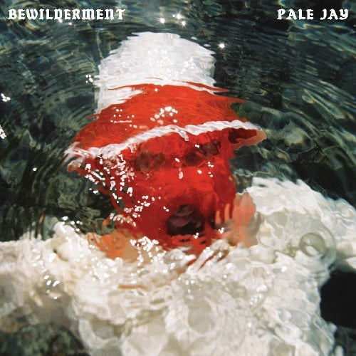 Pale Jay - Bewilderment(LP)