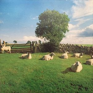 The KLF - Chill Out(LP)