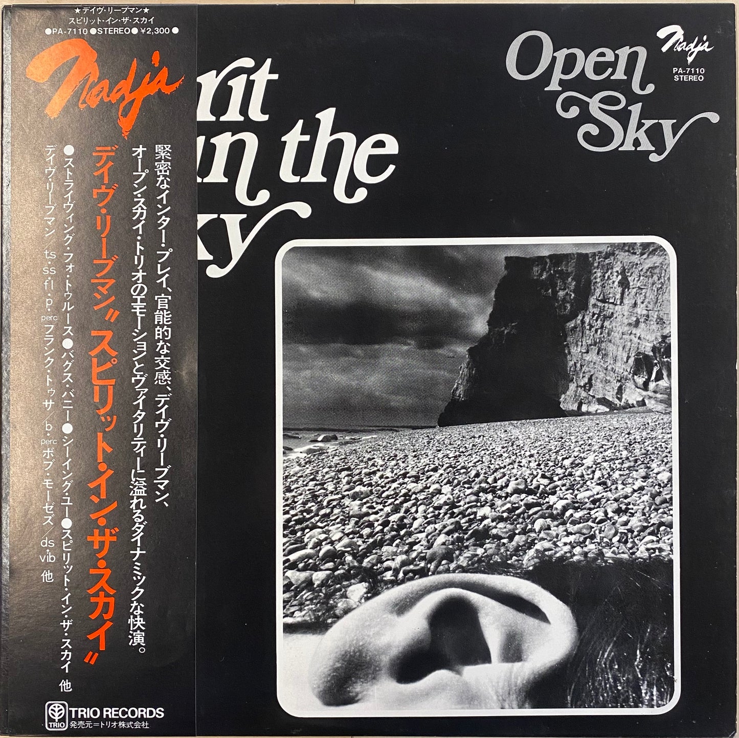 Open Sky