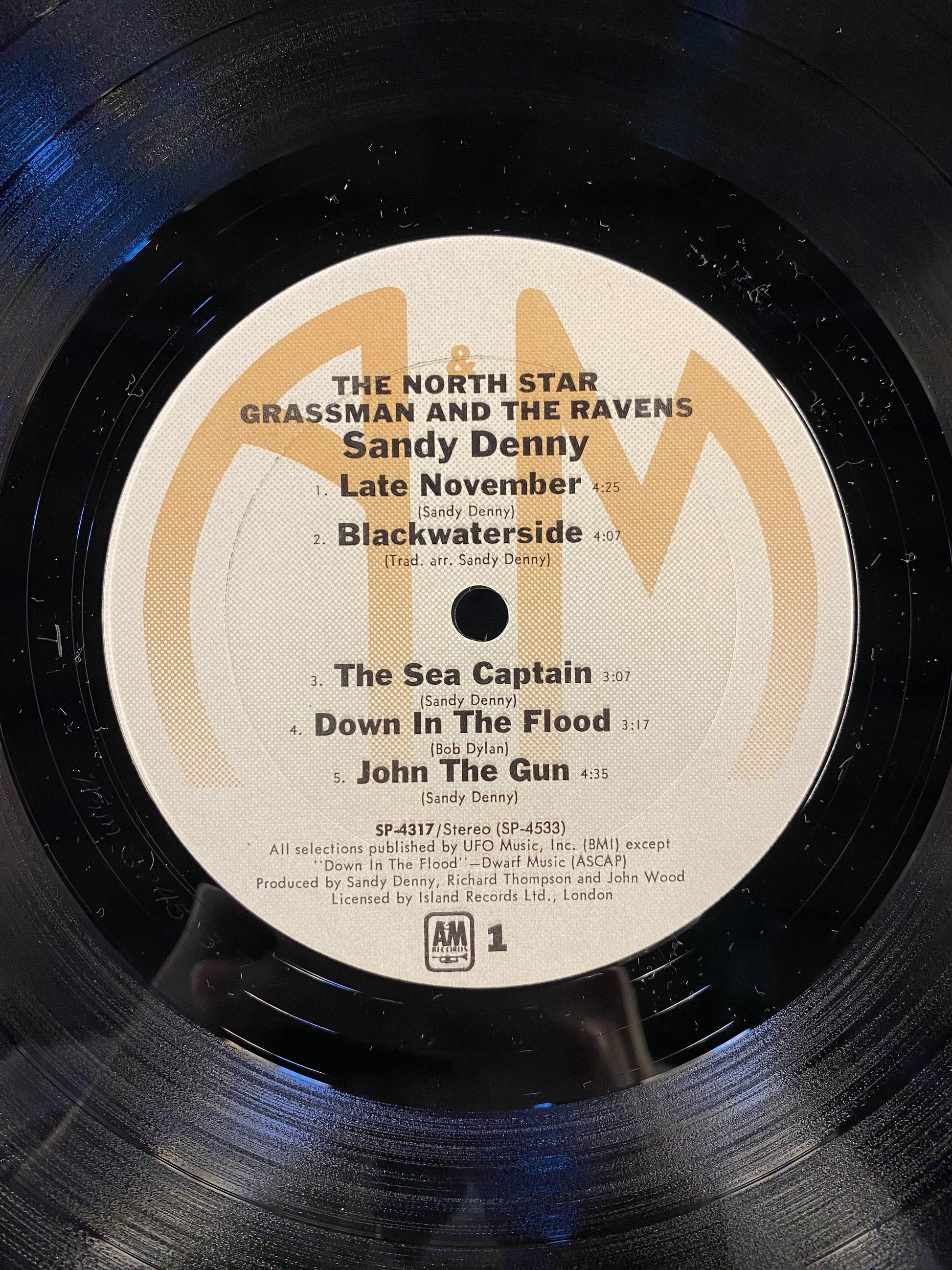 Sandy Denny