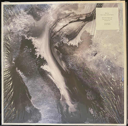 Novo Amor & Ed Tullett