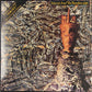 Siouxsie And The Banshees