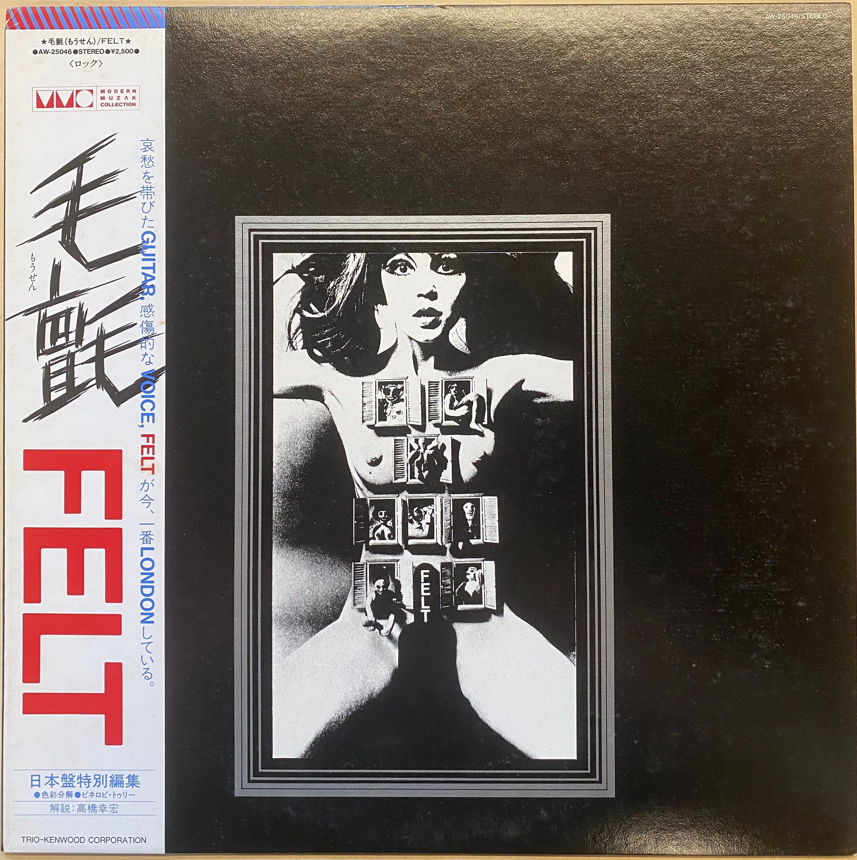 FELT「THE SPLENDOUR OF FEAR」レコード 中古 中古LP / 国内見本盤】Felt - The Splendour Of Fear – CELLAR