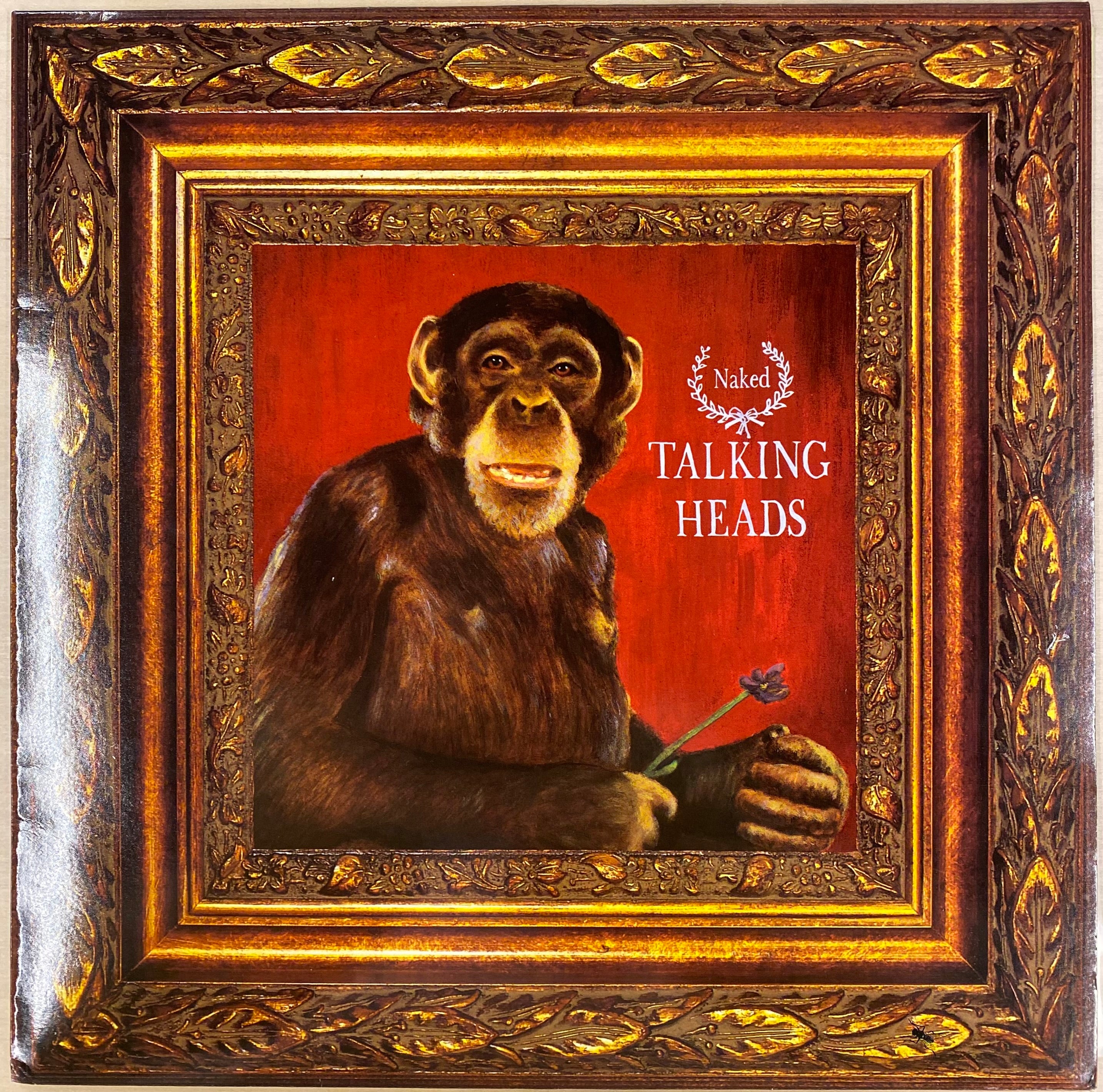 Talking Heads 旧規格　未開封 61DVdLWGTHL._UF350,350_QL50_.jpg