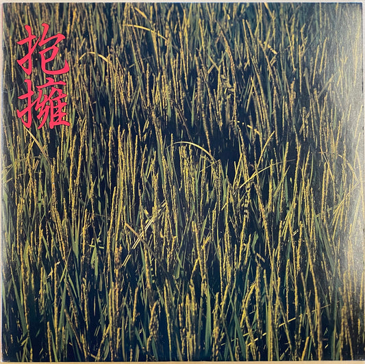 【USED】のいづんずり - 抱擁（LP)