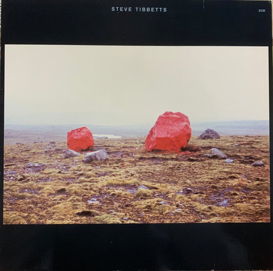 【USED】Steve Tibbetts - Exploded View (LP)