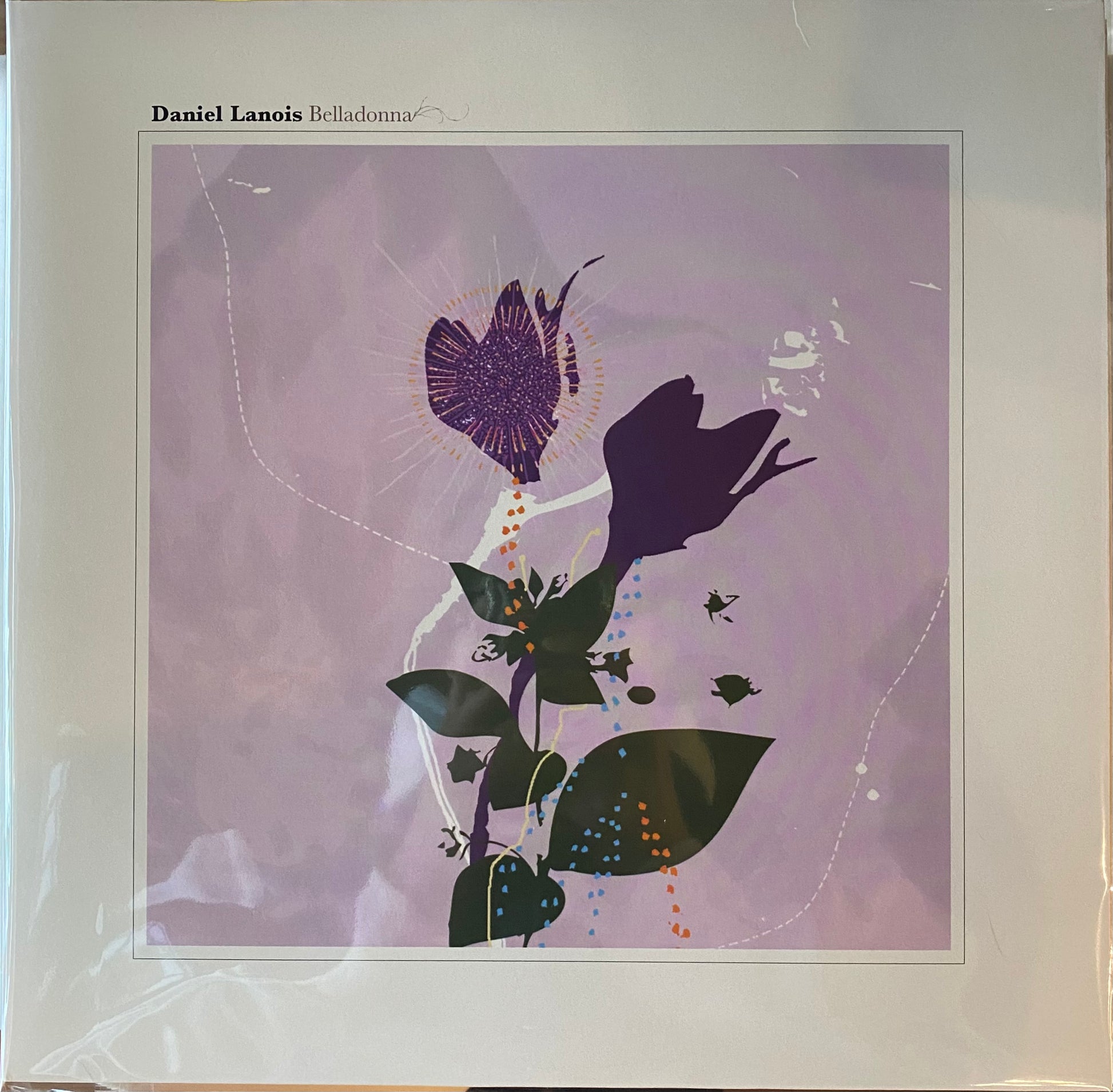 Daniel Lanois Belladonna レコード 2024年再発 Daniel Lanois Belladonna レコード 2024年再発 Daniel Lanois