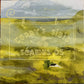 【USED】SEAMUS OG - TERRY’S SIBIN (LP)