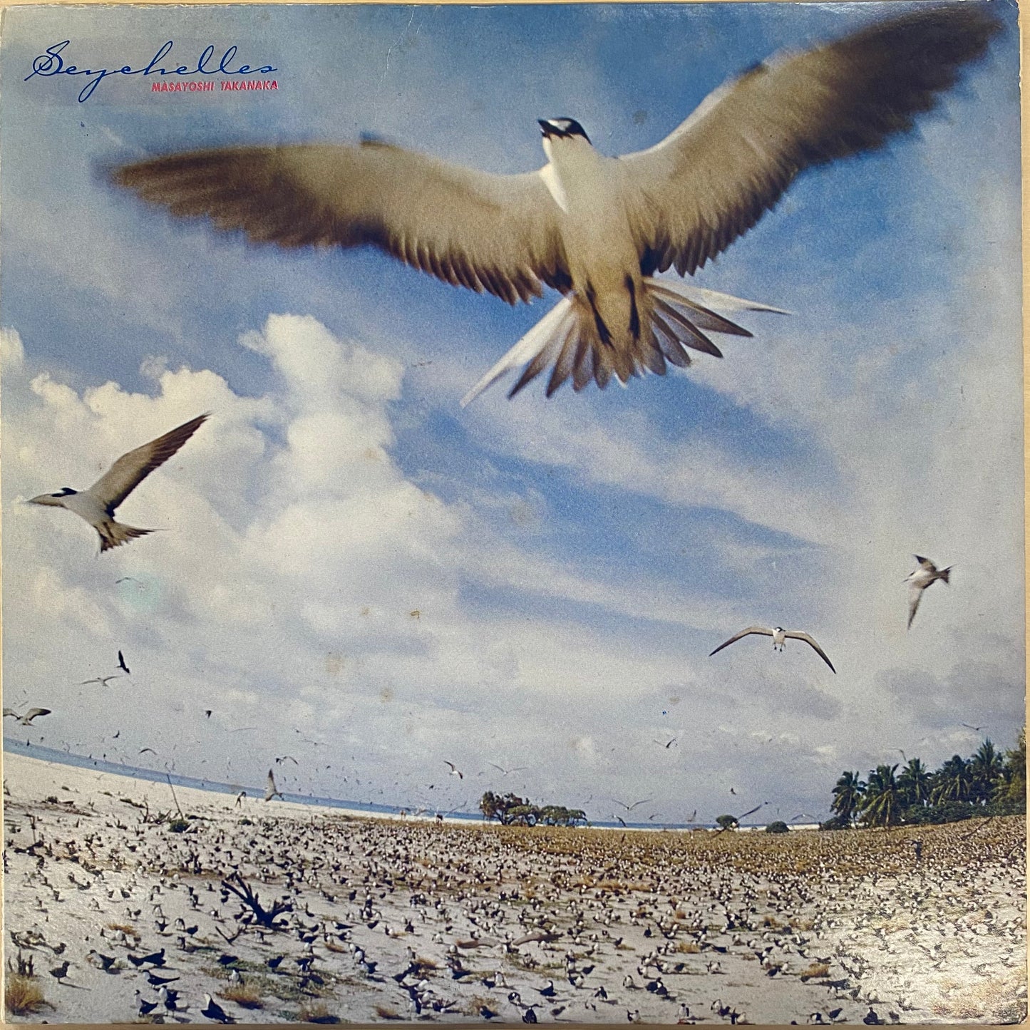 USED】高中正義 - Seychelles (LP) – CELLAR RECORDS USED】高中正義 - Seychelles (LP) – CELLAR RECORDS