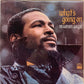【USED, US Orig】Marvin Gaye - What's Going On (LP)