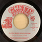 【USED, Orig】Sunrise Movement - Clock Wise Revolution / Nothing Left But Love (7)