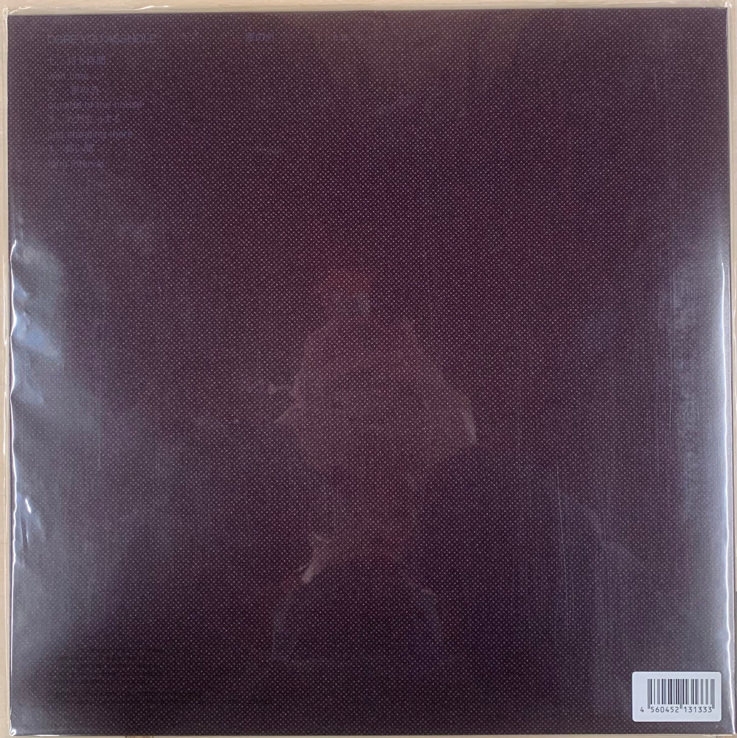 【USED】Ogre You Asshole - 家の外 e.p. (12)