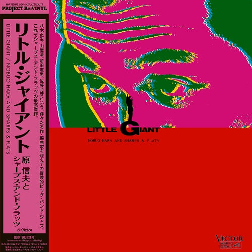 【予約商品】原信夫とシャープス・アンド・フラッツ - Little Giant (LP)