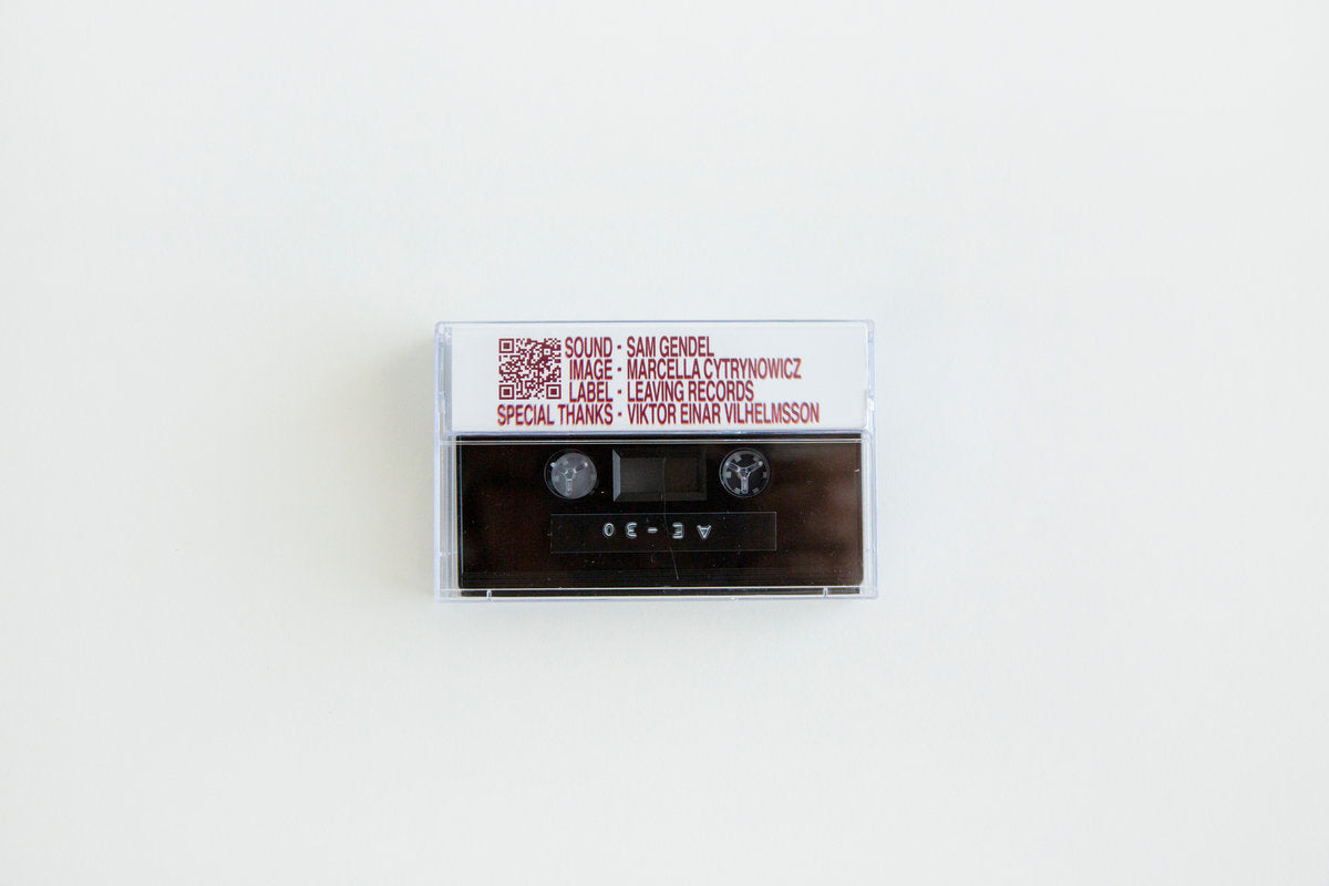 Sam Gendel - AE-30(Cassette)