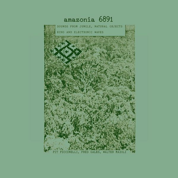 Pit Piccinelli, Fred Gales, Walter Maioli - Amazonia 6891(LP)