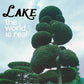 LAKE - The World is Real(LP)