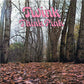 Twink - Think Pink(LP)