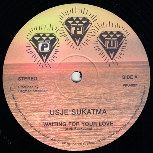 Usje Sukatma - Waiting For Your Love(12)